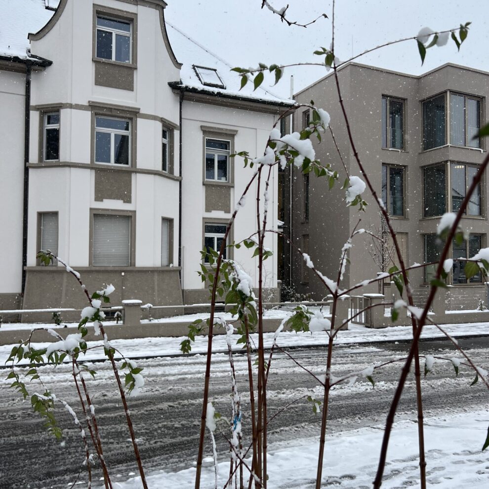Haus Katharina, Singen